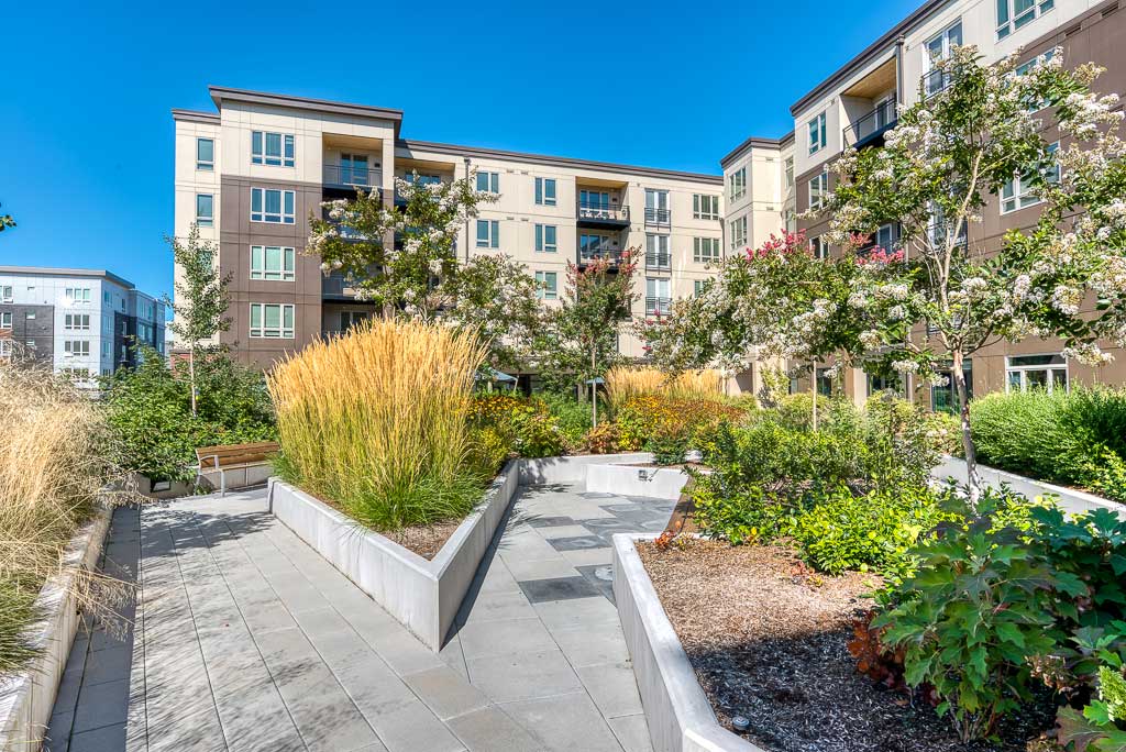 A landscaped courtyard with shrubs, flowers, and ornamental grasses sits in front of MorningStar Senior Living Hillsboro’s modern, multi-story building. Benches line the walkway through the garden, creating a welcoming spot for Retirement Living on a bright, sunny day.