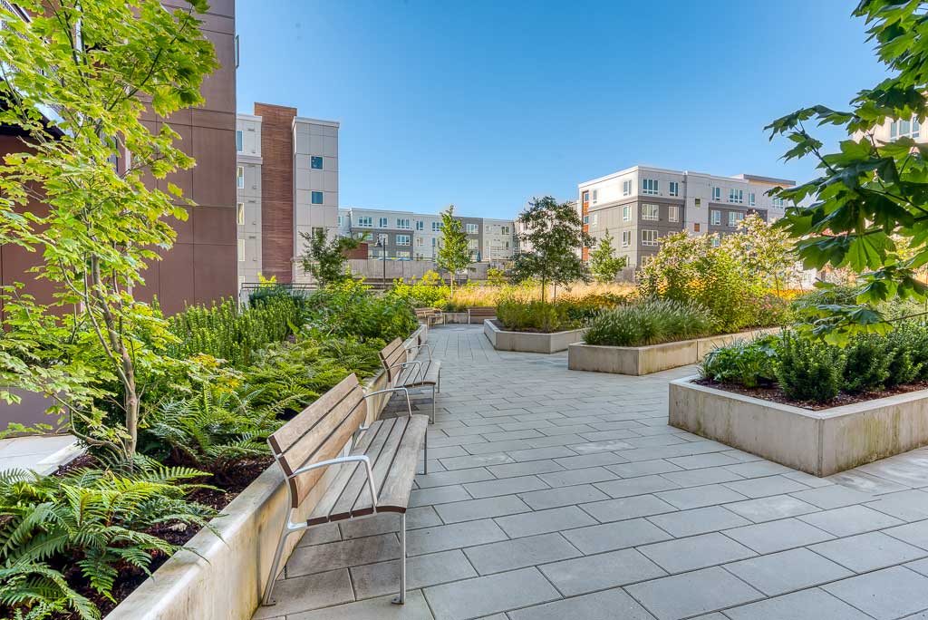 A landscaped rooftop garden with benches, trees, and greenery, surrounded by modern apartment buildings under a clear blue sky—perfect for relaxing at MorningStar Senior Living Hillsboro and enjoying Retirement Living at its finest.
