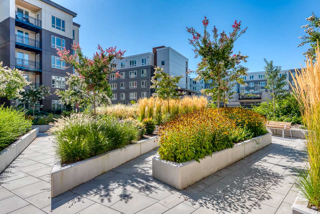 A landscaped courtyard with raised garden beds, lush green plants, flowers, and benches welcomes you to Retirement Living at MorningStar Senior Living Hillsboro, surrounded by modern apartment buildings under a clear blue sky.