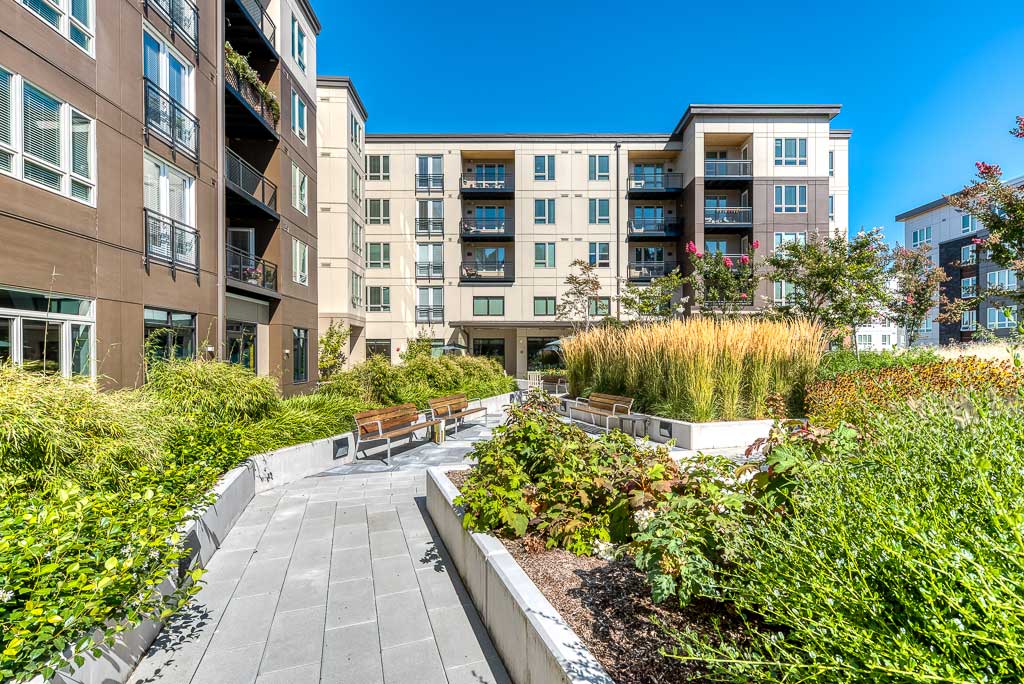 A modern apartment complex courtyard with lush green landscaping, tall grasses, benches, and paved walkways surrounded by multi-story buildings under a clear blue sky—ideal for Retirement Living at MorningStar Senior Living Hillsboro.
