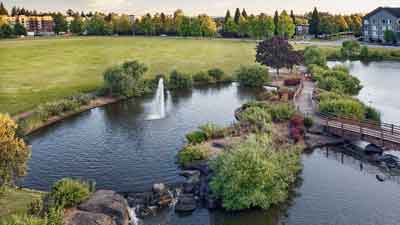 A park with a pond featuring a small fountain, surrounded by green grass, trees, and shrubs—perfect for peaceful strolls near MorningStar Senior Living Hillsboro. Wooden bridges cross the water, with buildings visible in the background.