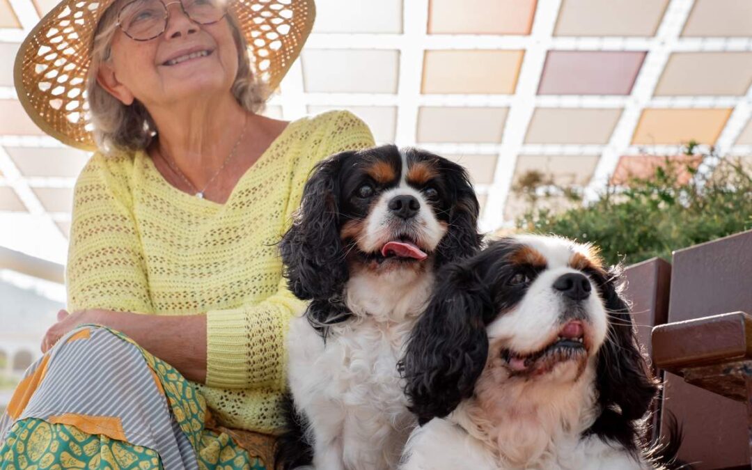Paws, Purrs, and Perfect Companions for Hillsboro Senior Living